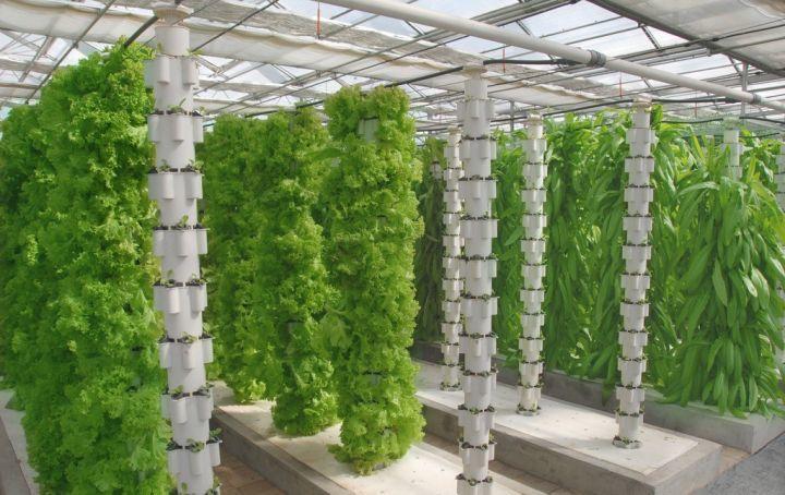 用上这种栽培模式蔬菜产量不止翻了23倍立柱式无土栽培蔬菜学起来