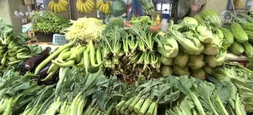 两节 市场供应充足 农业农村部重点监测的28种蔬菜已连续6周小幅下跌